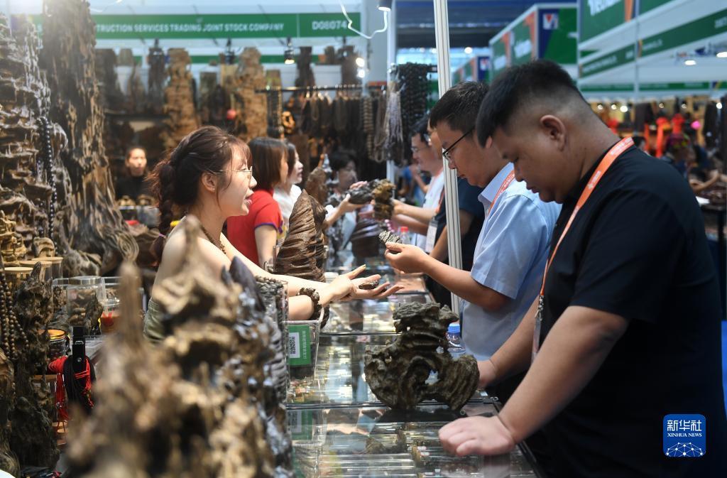 白菜大全自动送彩金